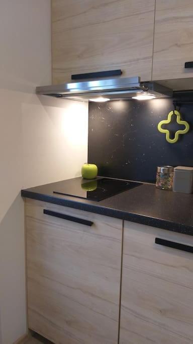 זאגרב White Brick Apartment מראה חיצוני תמונה